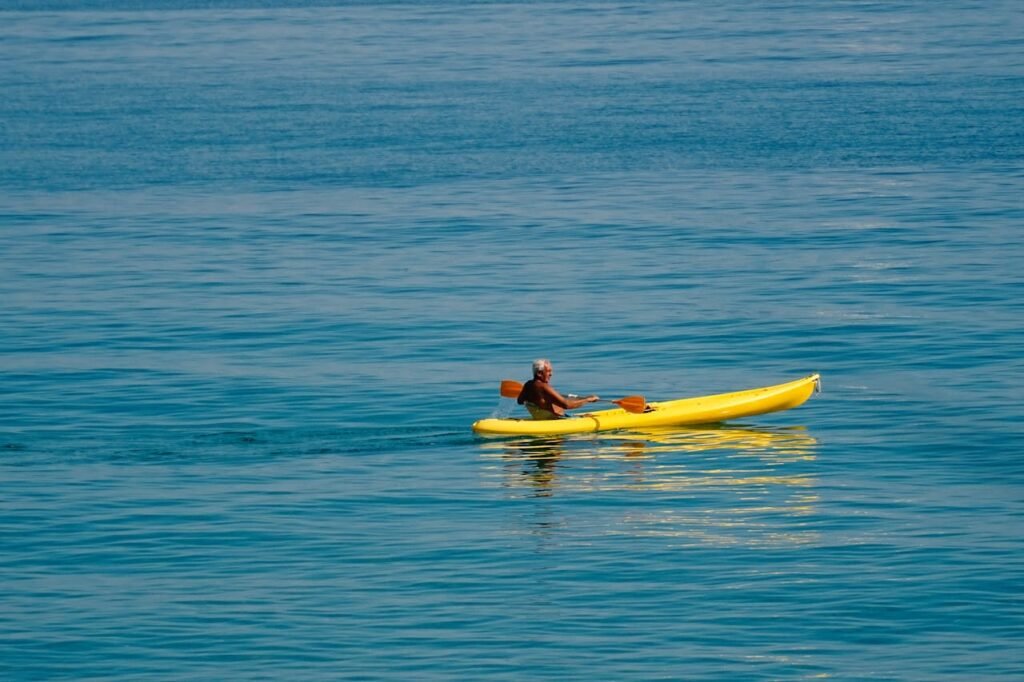 pexels photo 13858336.jpeg