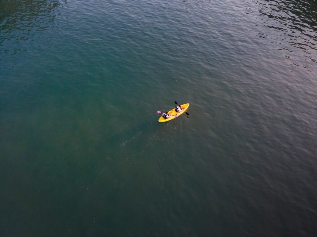 pexels photo 6348802.jpeg